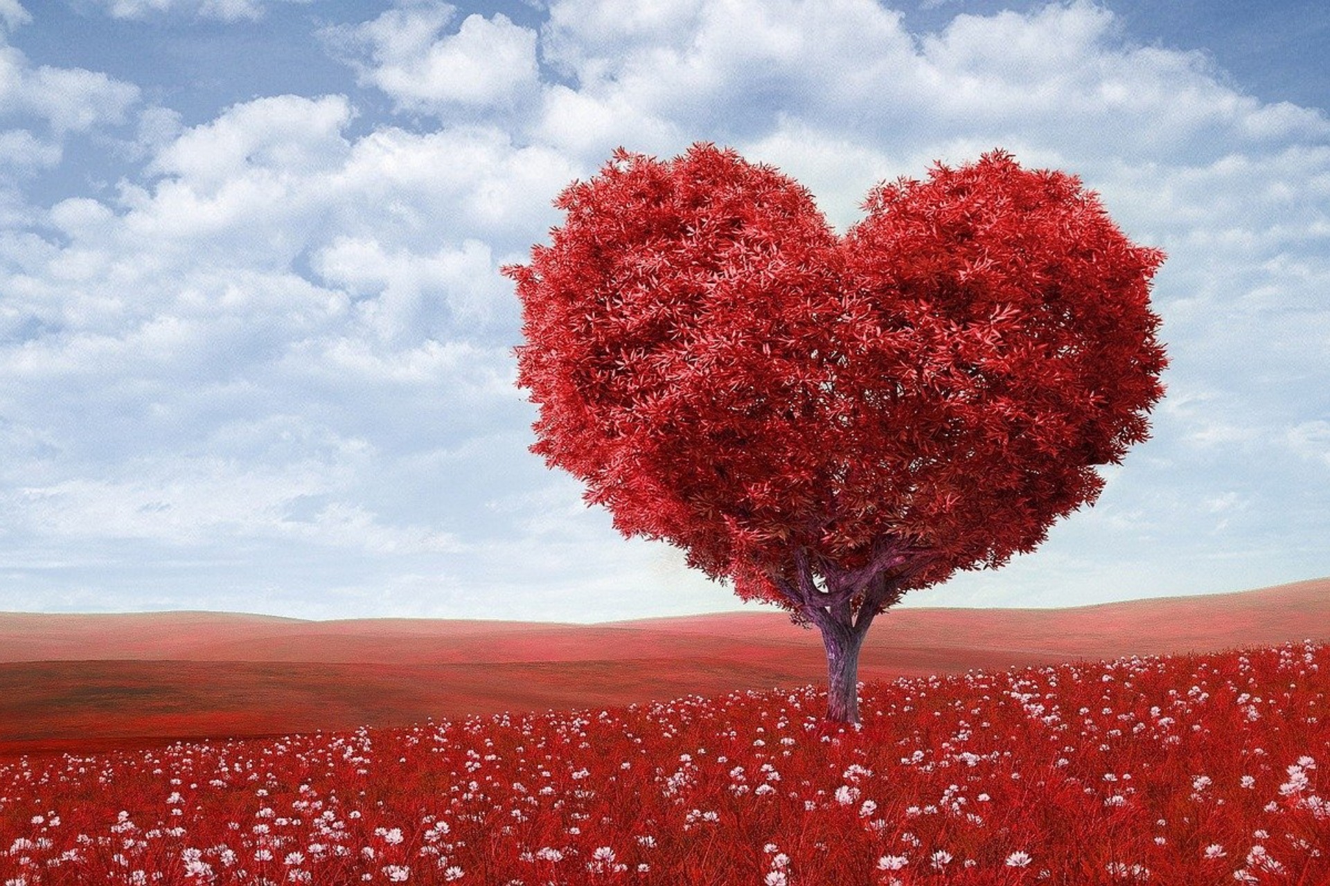 arbre en forme de coeur